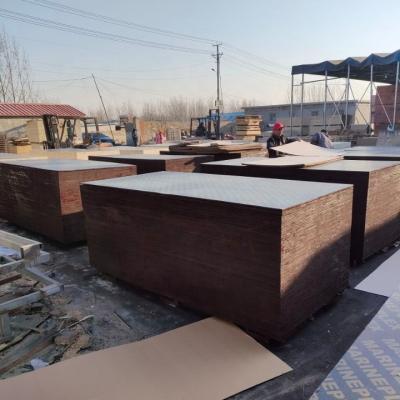 China Industrial formwork construction use film faced phenolic plywood board from Linyi alin wood factory for sale