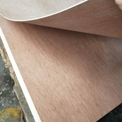 China 3.6mm modern commercial plywood for sale