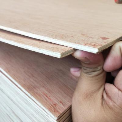 China Modern commercial 9mm plywood for sale