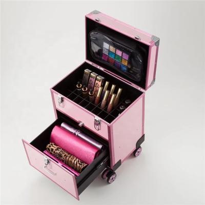 China New Custom Design Large Capacity OEM Multi Function Professional Aluminum Cosmetic Case Make Up Bag Organizer for sale