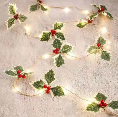 China Outdoor Lighting Warm String Lights LED String Lights Christmas Wedding Decoration Light String for sale