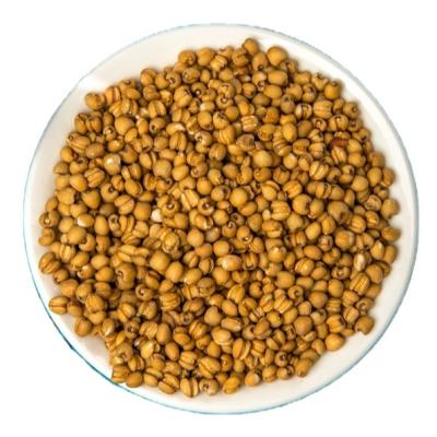 China Chinese Bulk Wholesale Coix Seed Dry Yellow Dry Coix Lacryma-jobi Seed for sale