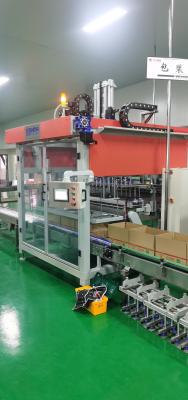 China 2 Köpfe Automatik-Box-Verpackungsmaschine, Zwei Achsen-Flaschenkarton-Verpackungsmaschine zu verkaufen