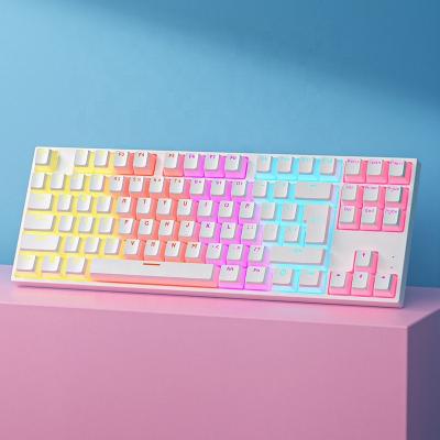 China 2023 Anti-ghosting Mini Keyboard Gaming Computer Mechanical Hotswappable Wired Keyboards for sale