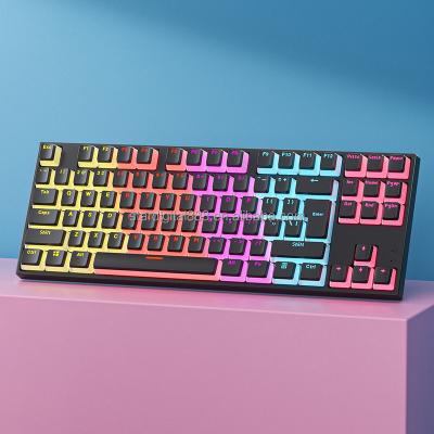 China Anti-ghosting Wired Type-C Mechanical Lighting Switch Gaming Keyboard Desktop Gaming Rgbkeyboard for sale