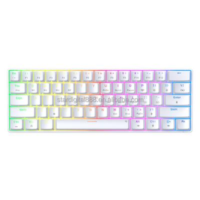 China Anti-Ghosting Computer Wired Keyboard 60 Percent Switch 61Keys Blue RGB Backlit Mechanical Gaming Keyboard for sale