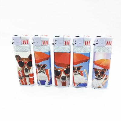 China Disposable Electric Lighter Model NO. DY-F016 with Windproof Design and Good for sale