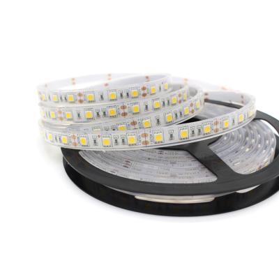 China Theme park underwater application silicon coated swimming pool SMD5050 high quality ip68 waterproof led strip for sale