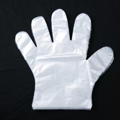 China Custom Made Eco-Friendly PLA Biodegradable Disposable Gloves for sale