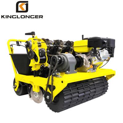 China garlic planting machine new design garlic seeder/garlic planting sowing machine/dry garlic planter with low price for sale