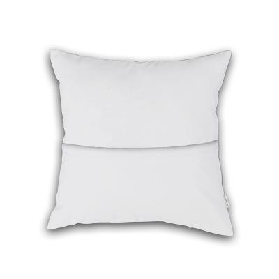 China Anti-pilling Free Shipping Pillow Cases With Insert 40*40cm (16