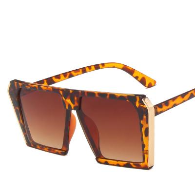 China Oversized Square Sunglasses Women Sun Glasses DLL2033 DL Fashion 2020 Fashion Luxury Sun Glasses for sale