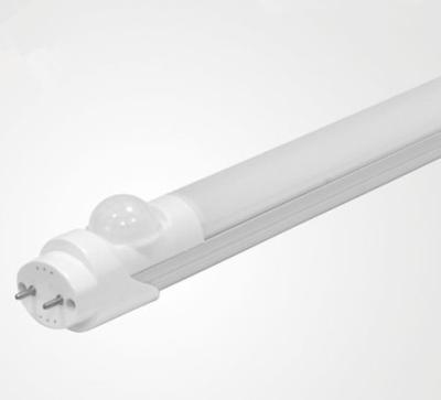 China Factories Lighting 5 Feet T8 LED Tube Lights 2750lm ,3 Years Warranty for sale