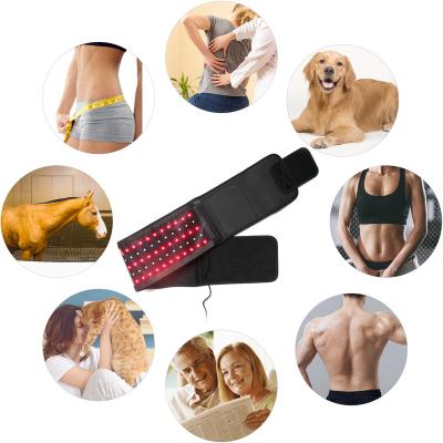 China Beauty Center+Home+Clinic Wholesale Lasor Pain Relief Size 160mw 360 Infra 635nm 850nm Red Light Therapy Lipo Laser Belt (15min Timer) Large Arm IDEAtherapy for sale