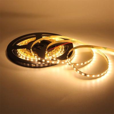 China Garden Led Strip Light 2835 SMD RGB Flexible Strip 5M 10m DC12V RGB LED for sale