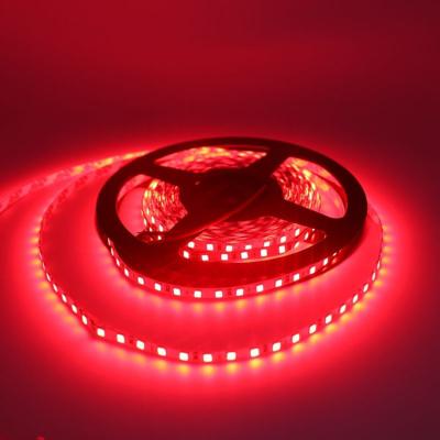 China Outdoor 12w garden led stripe light IP20 smd2835 rgb led strip light for home decoration for sale