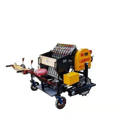 China Easy Operation Automatic Agriculture Garlic Planting Seeder Machine Precision Garlic Planter for sale