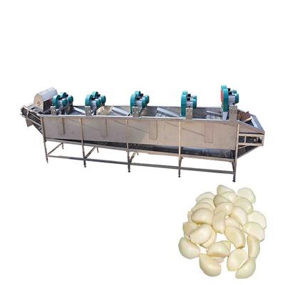 China Hotels blow water samrt essential samrt essential garlic drying machine for sale