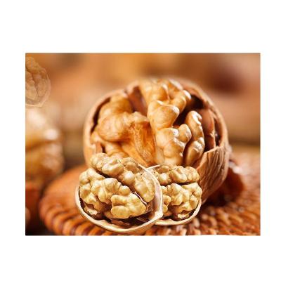 China Xinjiang China Dry Storage Sale Xinjiang Paper Shell Walnut Natural Dried Walnut Nuts 185 Dry Cool Place Top Grade for sale