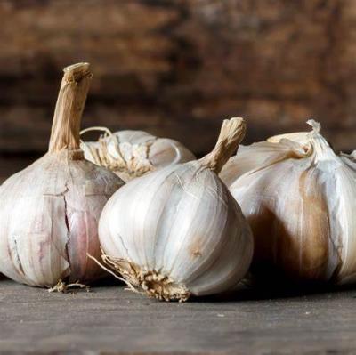 China Best hot-selling high quality delicious fresh chinese pure white 6p garlic for sale