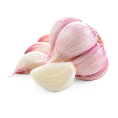 China White Garlic from Chinese-Manufacturer-Direct-Supply-Best-Fresh Quality for sale