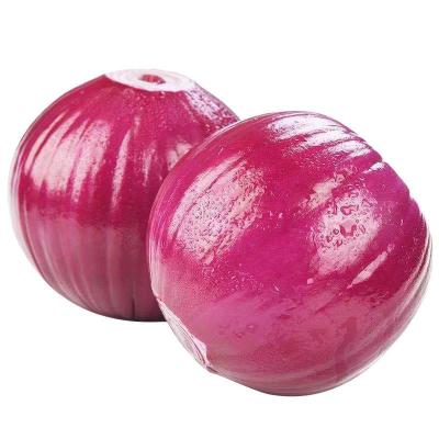 China 2022 New Chinese Onion Factory Small Fresh Vegetable Fresh Vegetable Onion Cultivation Organic for sale