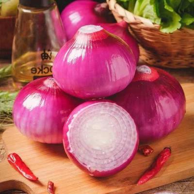 China China Organic Fresh Peeled Onion Yellow And Red Peeled Onion for sale