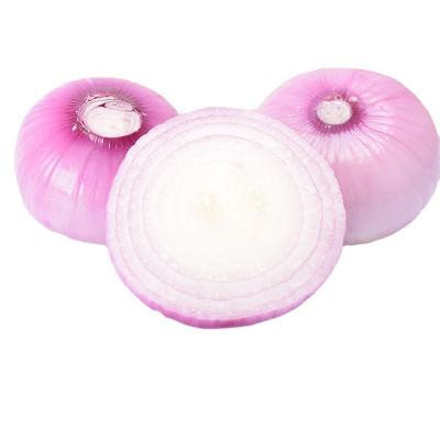 China onion supplier organic chinese red asian red shallots onion price in china for export for sale