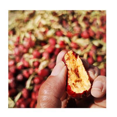 China Low Price Dried Dried Red Dates China Xinjiang Dried CN AD Natural Jujube Candy for sale