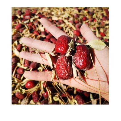 China Wholesale Price High Quality Dry Red Jujube Fruit Dried NC AD Sweet Red Dates for sale