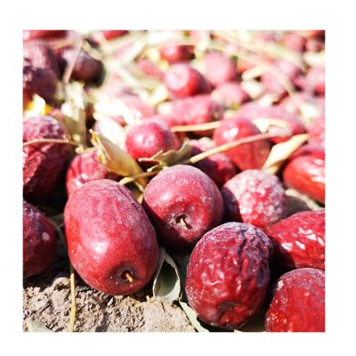 China NC AD Honey Red Dates Wholesale Price Sweet Dry Natural Jujube for sale