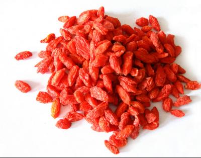 China High Quality Organic Dried Xinjiang Goji Berry Antioxidant Seeds for sale