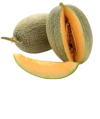 China Manufacturer fresh high guality price green skin suger fresh xinjiang hami melon for sale