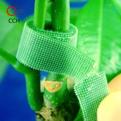 China Self Grabbing Hook And Loop Plant Link Self Grabbing Hook And Loop Strap Green 3/8