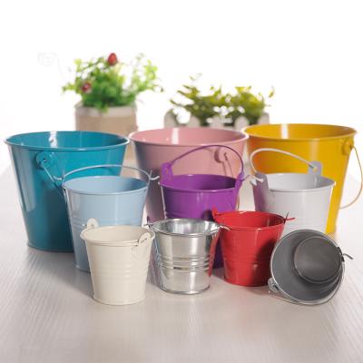 China Clothes 3size Matching Candy Color Metal Easter Gifts Mini Bucket Planters Pot Bucket for Plant and Flower Pot Buckets for sale