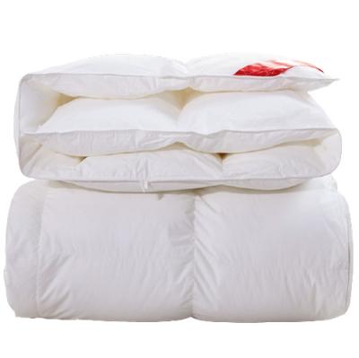 China New 100% White Goose 30% Feather and 70% Cotton Down All-Seasons Duvet for sale