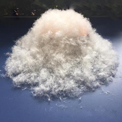 China Factory Supply 30% Duck Down Washed White Duck Down Feather For Sale for sale