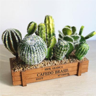 China Wholesale Ornamental Cactus Decoration Cactus and Artificial Succulents Cactus Plants/ for sale