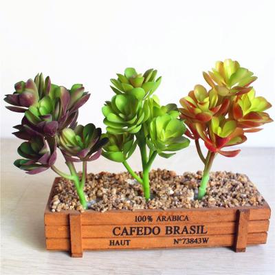 China Zero Succulent Pots Mini Succulent Artificial Cactus Decoration Small for sale