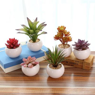 China Small Minimalist Succulent Pots Mini Succulent Cactus Plants Artificial Artificial for sale