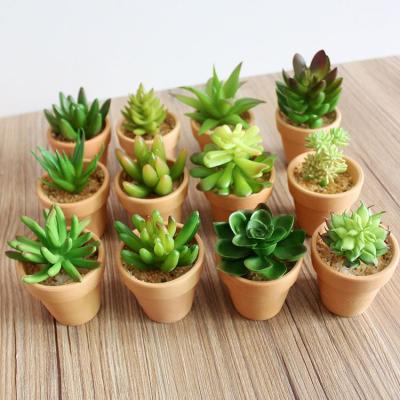 China Decoration Artificial Succulent Plants for sale