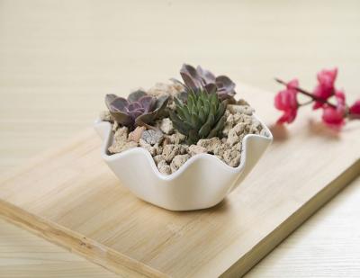 China Europe Garden Cute Ceramic Decoration Cactus Flower Planter Succulent Pot With Bamboo Tray for sale