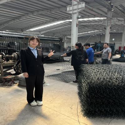 Chine Vente à chaud en plongée chaude galvanisée en gabion panier de pierre boîte pour la protection aux Philippines, en Malaisie, en Indonésie à vendre