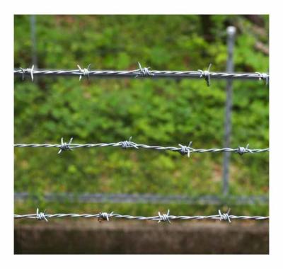 China KN Hot Selling Fencing Barbed Wire Electro Galvanized Barbed Wire for sale