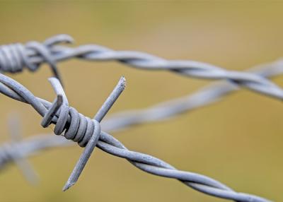 Chine Utilisation des murs de la prison longueur 200m fil barbelé en acier inoxydable prix par rouleau à vendre