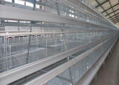 China Die große Kapazität galvanisierte automatische Schicht Hen Cages For 160 Hühner zu verkaufen