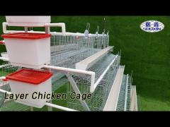 Steel Wire Layer Chicken Cage 3 Tiers 1000 Birds For Individual Farm