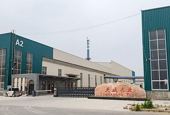 Verified China supplier - Caoxian Tiancheng Wood Products Co., Ltd.