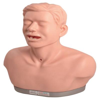 China General Hospital GD/LV31 Doctor Syphilis Lacrimal Passages Model for sale