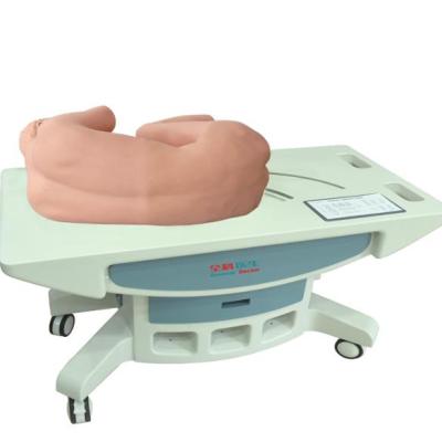 China High-intelligent simulated human model of General the hospital lumbar puncture GD/L260C for sale